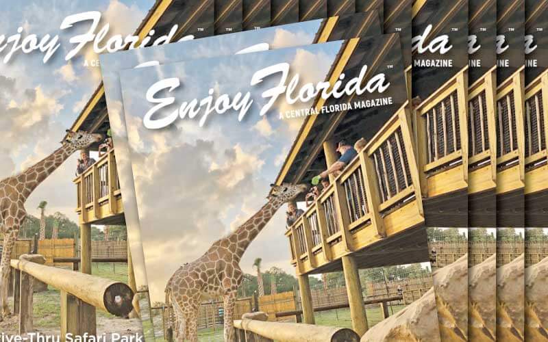 enjoy florida magazine covers with wild florida giraffe feeding