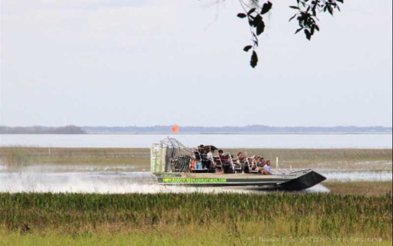 airboat zipping along waterway at boggy creek airboat adventures kissimmee
