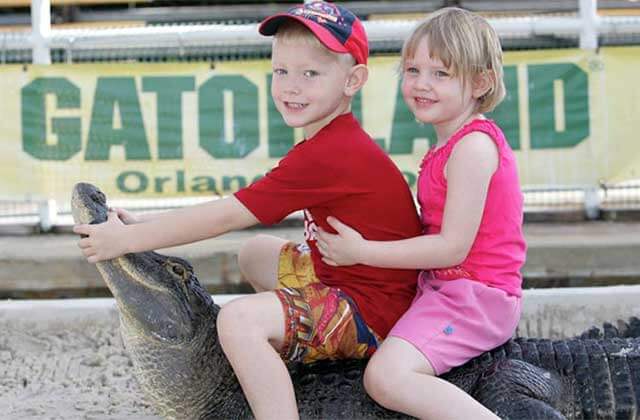 boy and girl sitting on alligator at gatorland orlando
