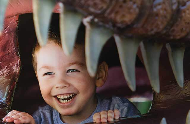 boy laughs while peeping out from t rexs mouth dinosaur world florida