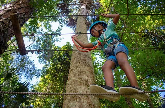 boy wearing safety gear walks tightrope between trees at central florida zoo botanical gardens sanford
