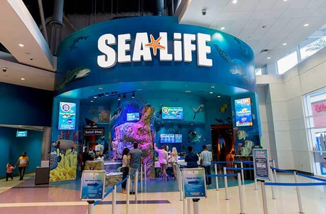 entrance inside icon park main building at sea life orlando aquarium