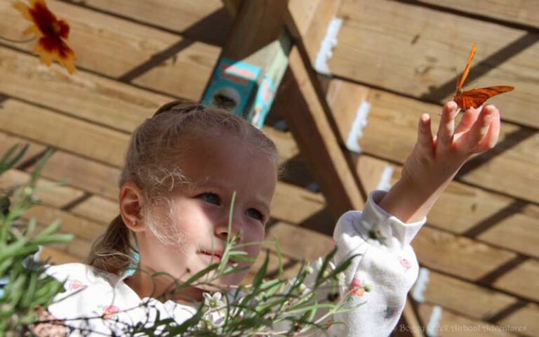 girl reaching for butterfly at boggy creek airboat adventures kissimmee