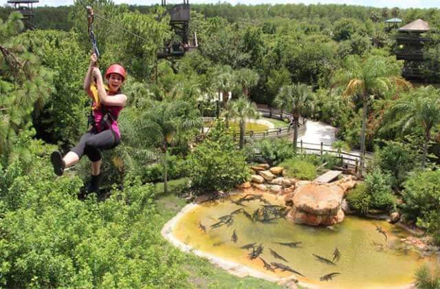 girl ziplining over alligator pond at gatorland orlando