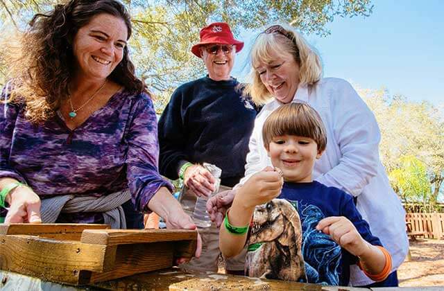 kid with family digs for fossils dinosaur world