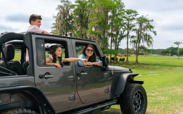 mom and kids leaning out of jeep windows looking at animals on safari drive at wild florida