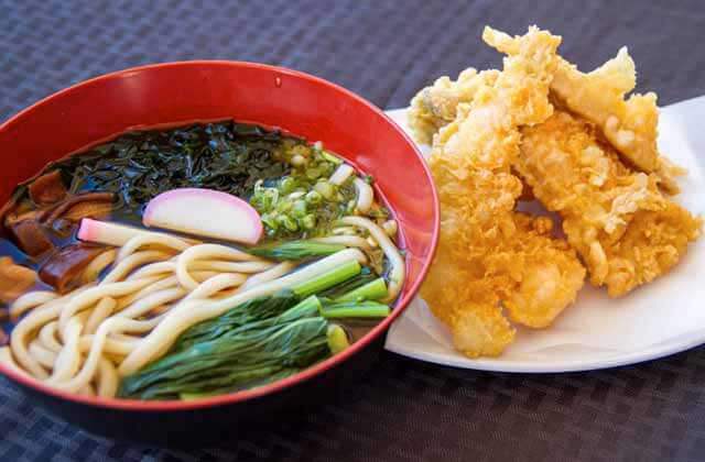 tempura entree next to udon soup oishi japanese restaurant orlando