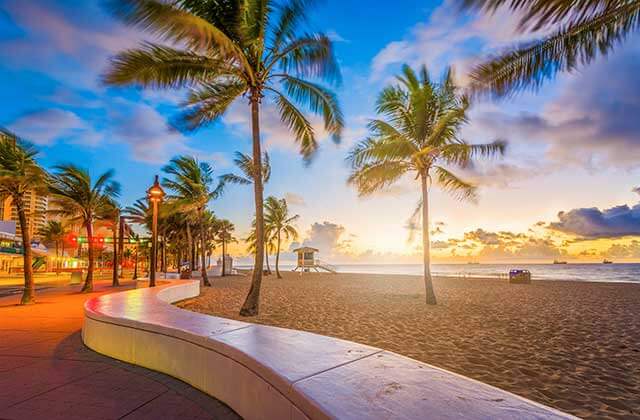 dawn on a beach with palm trees walkway and colorful lighting for fort lauderdale destination feature
