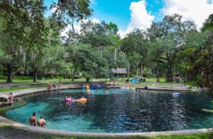 swimmers relax in cool juniper springs in a forest at ocala marion county destination feature