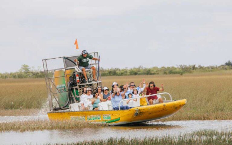 airboat with tour group speeding along wetlands at everglades alligator farm homestead