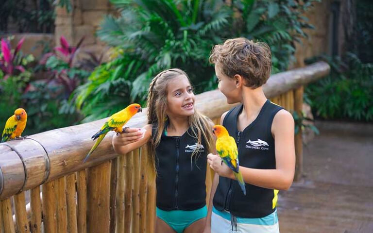 boy and girl with colorful birds at discovery cove orlando