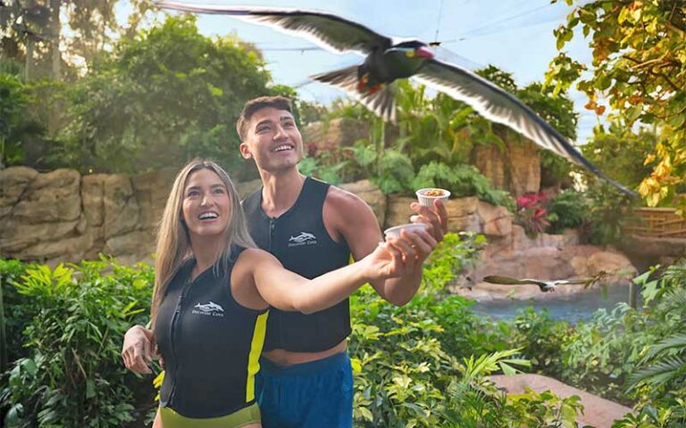 couple feeding exotic birds at discovery cove orlando