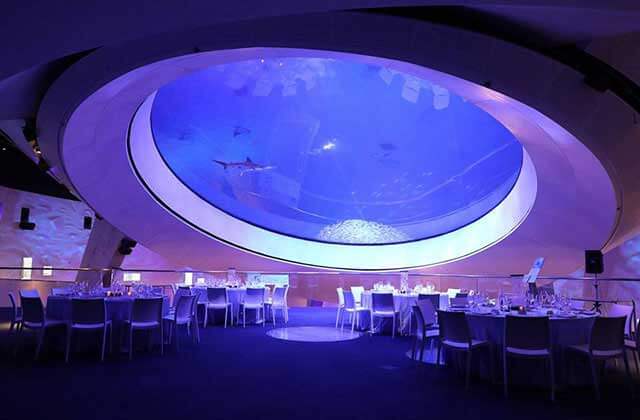 dining area with tables and chairs under a large circular aquarium window at frost science miami florida