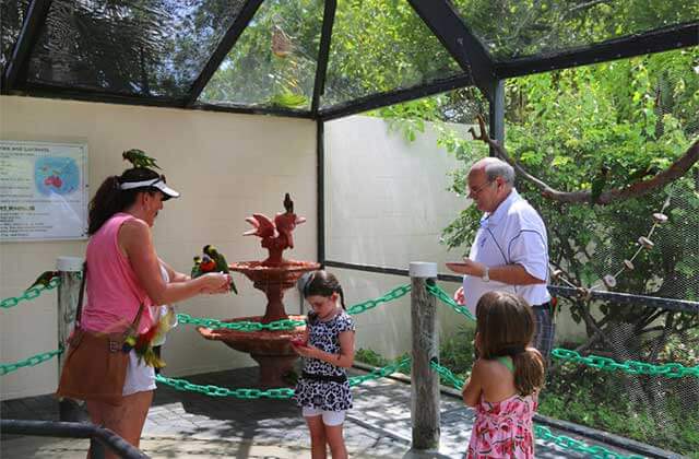 family handles tropical birds in an atrium at butterfly world coconut creek