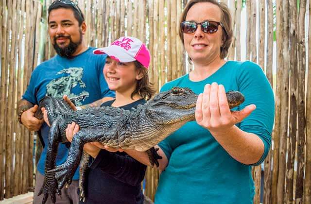 family smiles while holding alligator at everglades alligator farm florida city