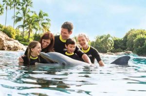 family in wetsuits wade in water with dolphin at discovery cove orlando