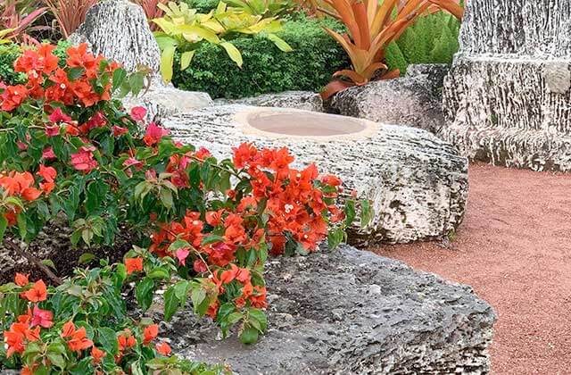 flowers and bromeliads with carved rock at coral castle sculpture garden museum homestead