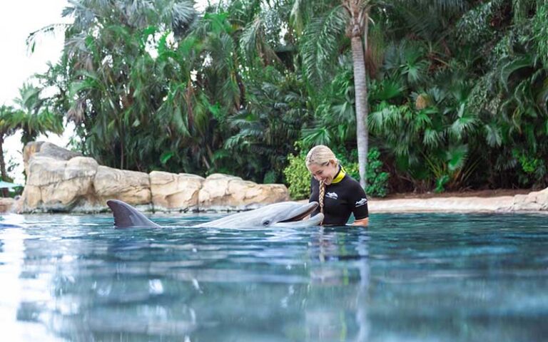 girl in water with dolphin lagoon at discovery cove orlando