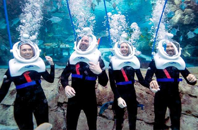 group with diving helmets underwater for seaventure walking tour at discovery cove orlando