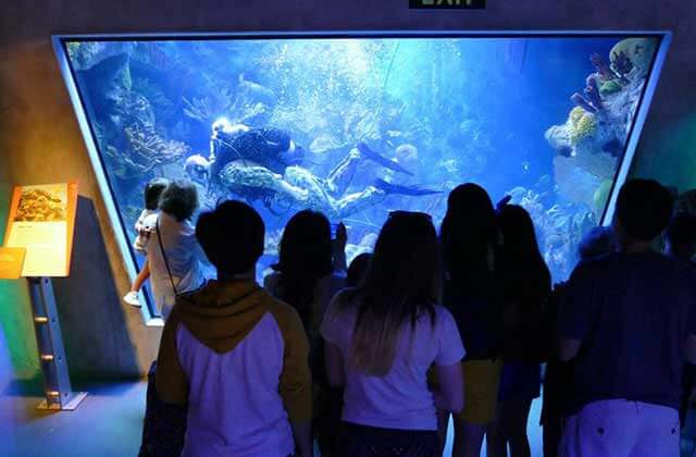 group observing an aquarium with a scuba diver and fish at frost science miami florida