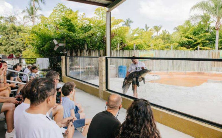 group of people watching gator handling show at everglades alligator farm homestead