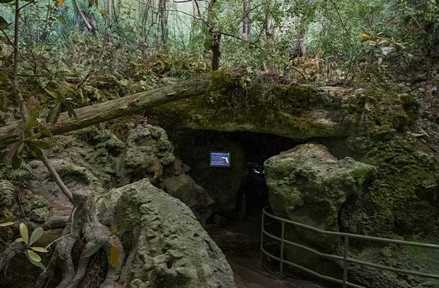 indoor florida caverns walk thru exhibit at florida museum of natural history gainesville