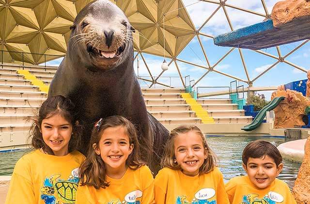 kids group smiling with a sea lion and arena in the background at miami seaquarium florida