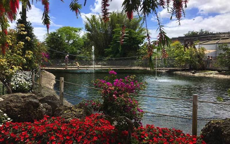 people crossing suspension bridge with nets over water with flower beds at butterfly world