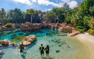 people in scuba suits wading into lagoon with fish at discovery cove orlando