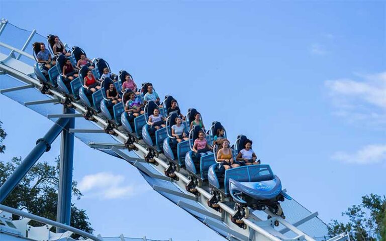 riders on roller coaster speeding along rails at seaworld orlando