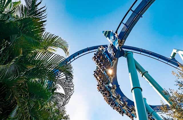 roller coaster glides by palm trees with upside down riders on manta at seaworld theme park orlando