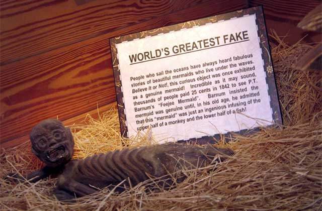 sculpture exhibit with straw and worlds greatest fake sign at ripleys believe it or not st augustine