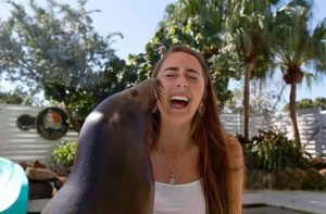 a sea lion kisses a laughing girl at theater of the sea islamorada