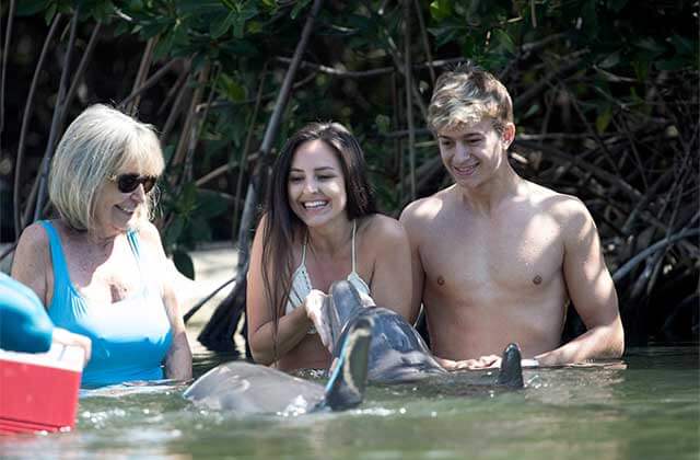 smiling family in waist deep water interacting with dolphins at theater of the sea islamorada