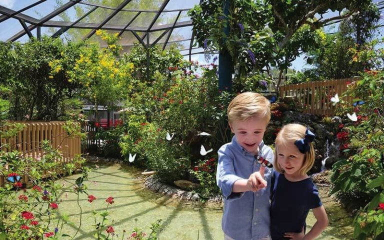 tropical garden area with waterfall and two children smiling and looking at butterflies at butterfly world