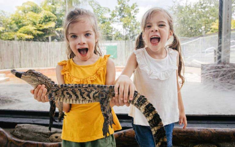 two girls holding small alligator at everglades alligator farm homestead