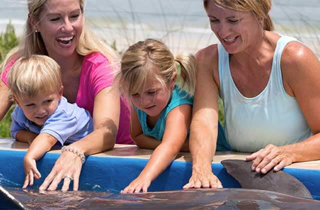 two women with kids poolside touching a dolphin at marineland dolphin adventure st augustine