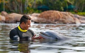 wetsuit wearing man in water with dolphin at discovery cove orlando