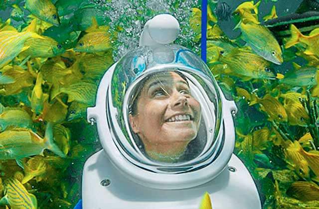 woman in a diving bell looking at fish underwater at miami seaquarium florida