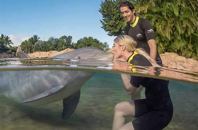woman kisses dolphin at discovery cove orlando