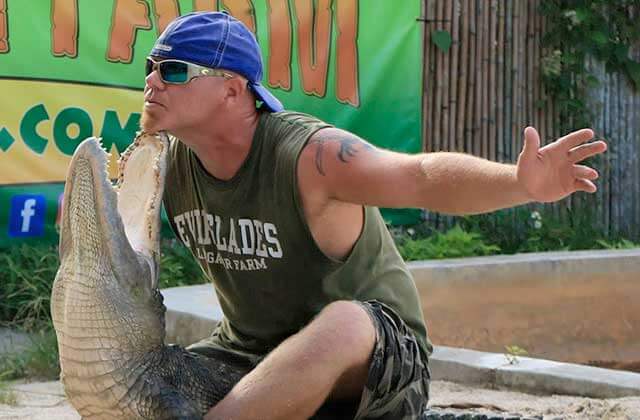 young man holds up large alligator with open mouth at everglades alligator farm florida city