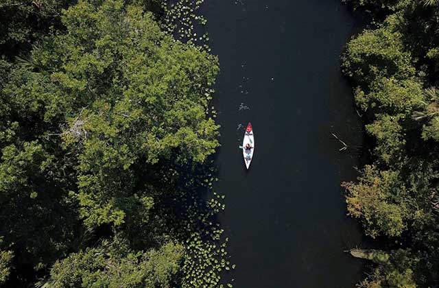 aerial of river with dense trees and swamp along sides and white canoe with woman and boy paddling for orlando north destination feature
