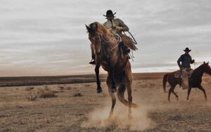 cowboy on bucking horse in field at boot barn orlando kissimmee