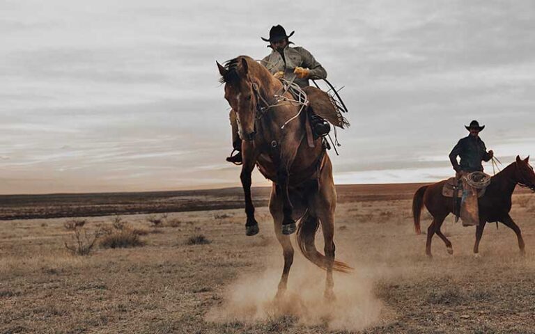 cowboy on bucking horse in field at boot barn orlando kissimmee