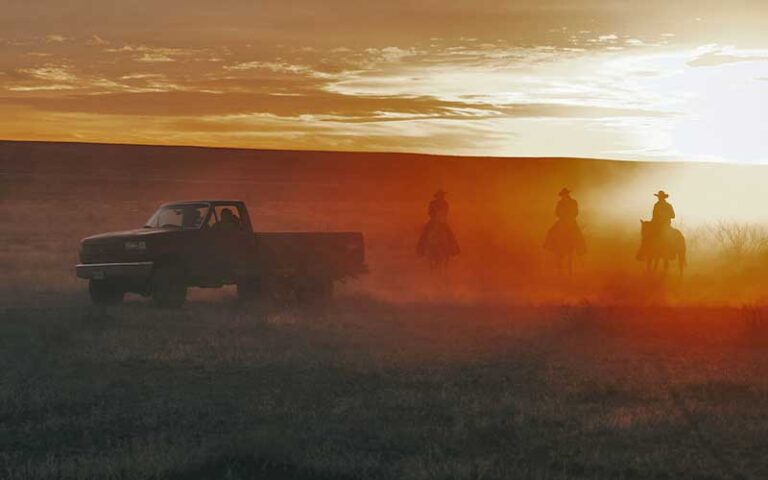 cowboys following pickup on dusty field with sunset at boot barn orlando kissimmee