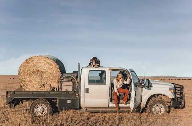 cowgirl in a truck with a haybale and dog in a field at boot barn kissimmee