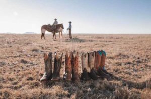 pairs of cowboy boots in a field with horses at boot barn kissimmee