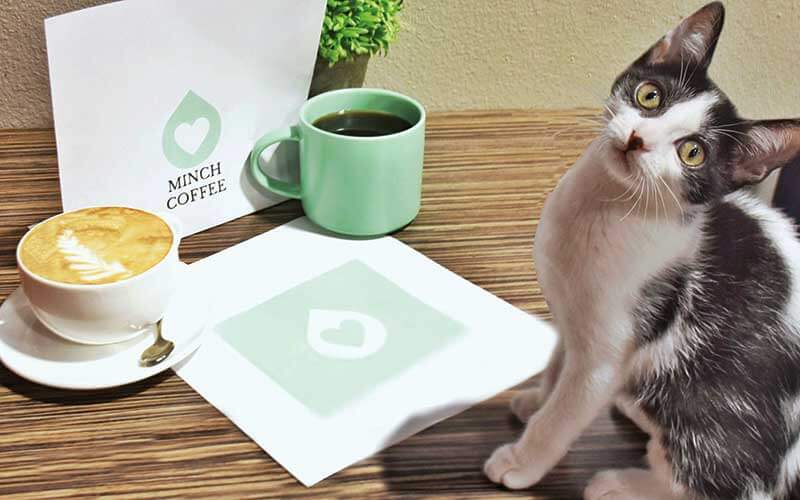 black and white kitten looking up with latte and coffee with minch logo at orlando cat cafe clermont post