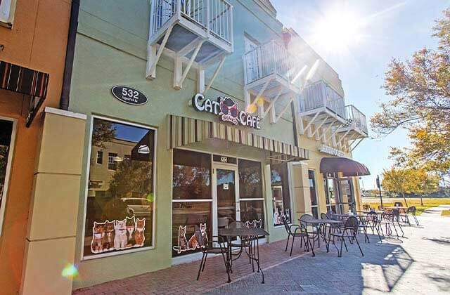 front exterior with sunshine awnings tables chairs and sidewalk at orlando cat cafe clermont