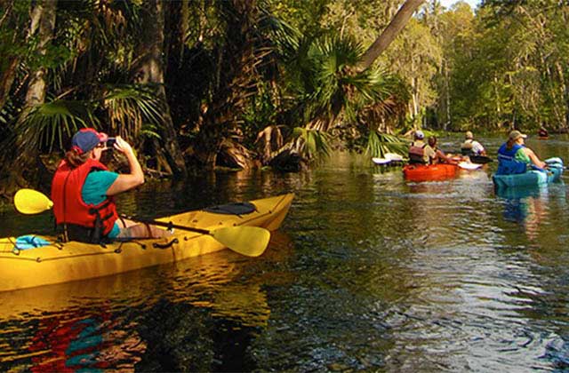 multi colored kayaks on a tour on a river at flamingo adventures at everglades national park homestead